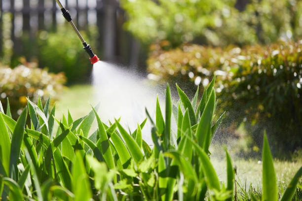 Tamper-Resistant Bait Stations for Rodents in Flemingsburg