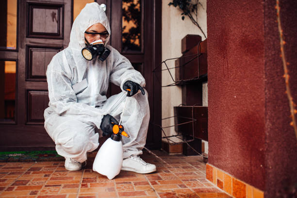 Attic and Crawl Space Rodent Treatment in Flemingsburg