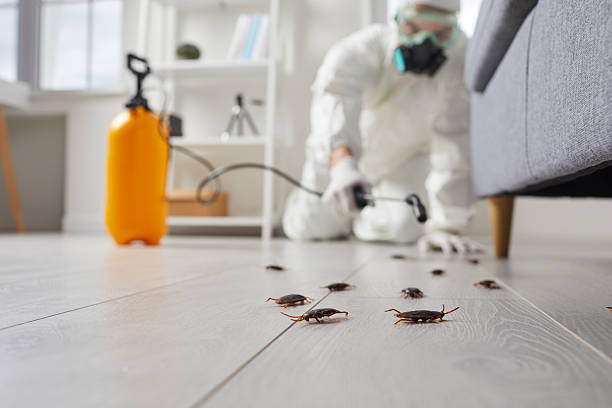 Commercial Rodent Management in Flemingsburg